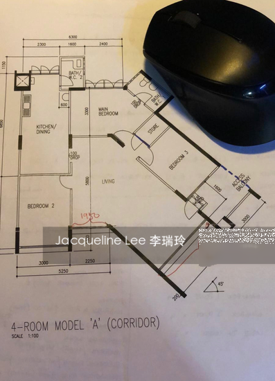 Blk 267 Tampines Street 21 (Tampines), HDB 4 Rooms #189623362